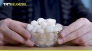 Süt ve Yoğurt Nasıl Olur ? Kültür ve maya nedir? ???? ????