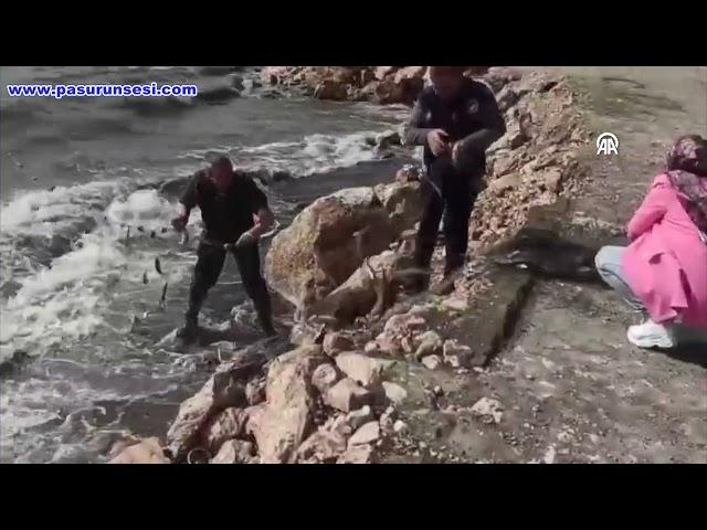 Van’da Kaçak Avcılara Baskın: 5 Ton 650 Kilo Balık Ele Geçirildi