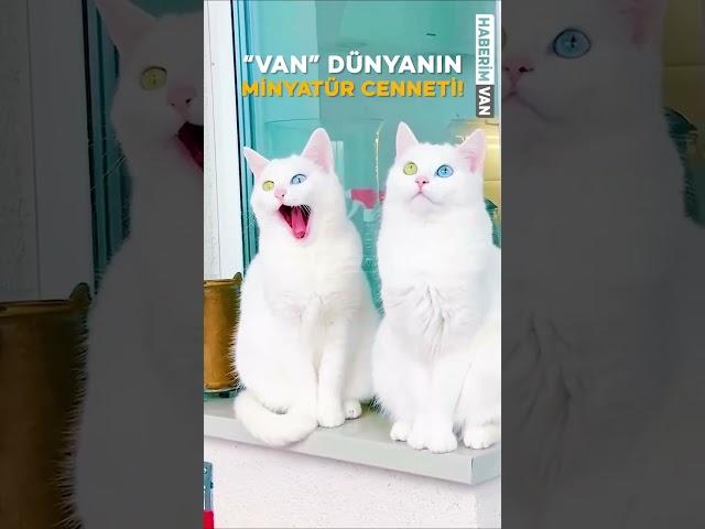 Memleket